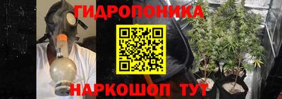 дмт Краснознаменск