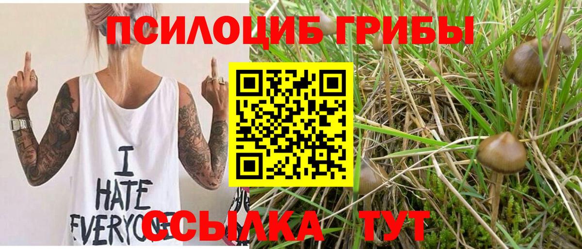 Псилоцибиновые грибы Psilocybine cubensis  Псилоцибиновые грибы мухоморы  Чернушка  Вход с VPN 