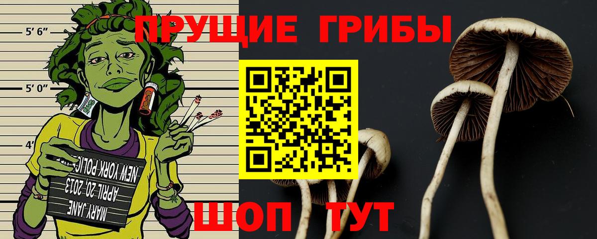 Галлюциногенные грибы MAGIC MUSHROOMS Чернушка